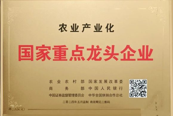 cert 01
